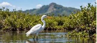 Desmatamento e biodiversidade